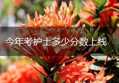 今年考护士多少分数上线