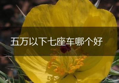 五万以下七座车哪个好