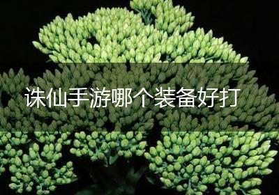诛仙手游哪个装备好打