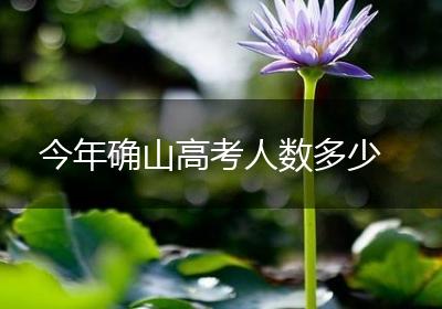 今年确山高考人数多少