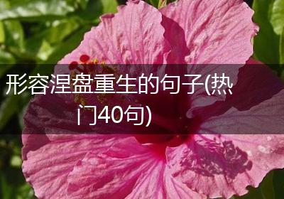 形容涅盘重生的句子(热门40句)