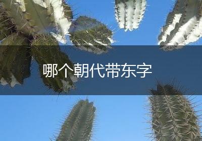 哪个朝代带东字