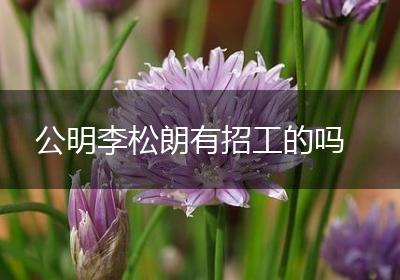 公明李松朗有招工的吗
