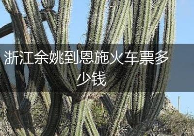浙江余姚到恩施火车票多少钱