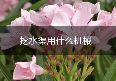 挖水渠用什么机械