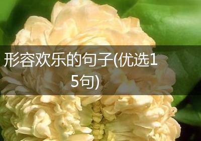 形容欢乐的句子(优选15句)
