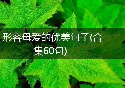 形容母爱的优美句子(合集60句)