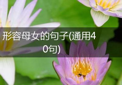 形容母女的句子(通用40句)