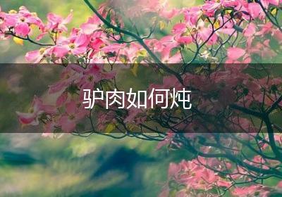 驴肉如何炖
