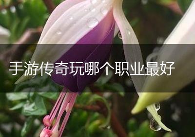 手游传奇玩哪个职业最好