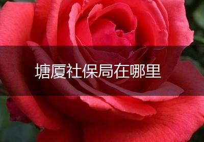 塘厦社保局在哪里