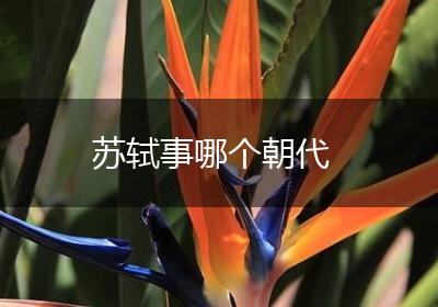 苏轼事哪个朝代