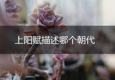 上阳赋描述哪个朝代