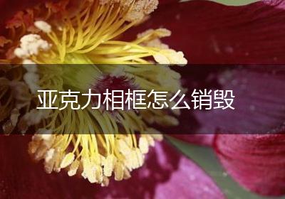 亚克力相框怎么销毁