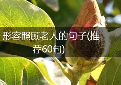 形容照顾老人的句子(推荐60句)