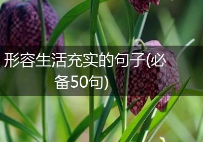 形容生活充实的句子(必备50句)