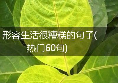 形容生活很糟糕的句子(热门60句)
