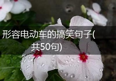 形容电动车的搞笑句子(共50句)