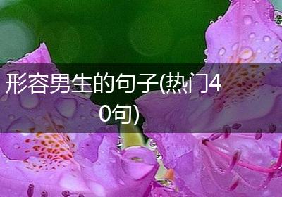 形容男生的句子(热门40句)