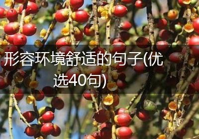 形容环境舒适的句子(优选40句)