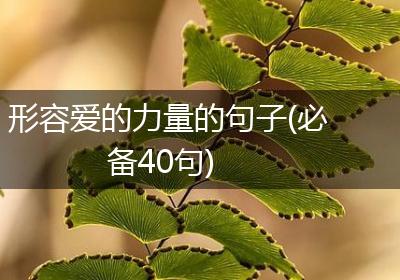 形容爱的力量的句子(必备40句)