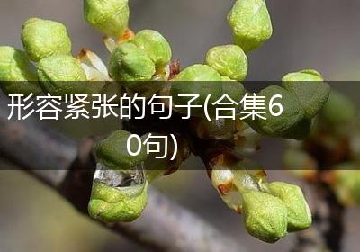 形容紧张的句子(合集60句)