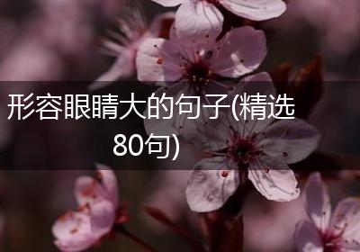 形容眼睛大的句子(精选80句)