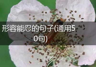形容能忍的句子(通用50句)
