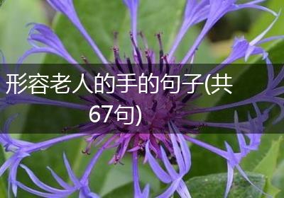 形容老人的手的句子(共67句)
