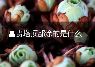 富贵塔顶部涂的是什么