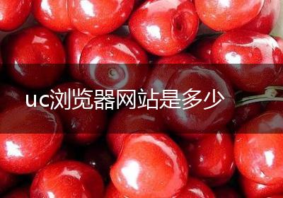 uc浏览器网站是多少