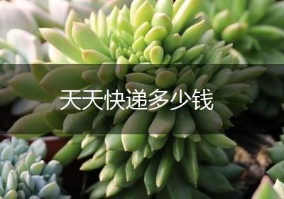 天天快递多少钱