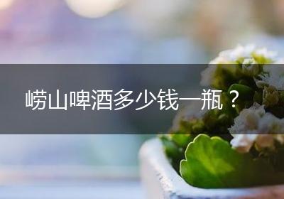 崂山啤酒多少钱一瓶？