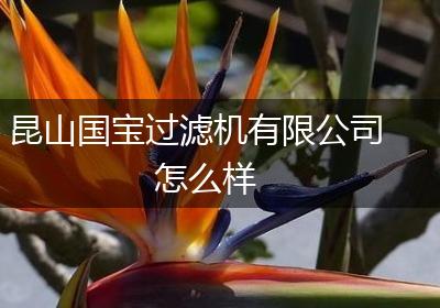 昆山国宝过滤机有限公司怎么样