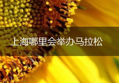 上海哪里会举办马拉松