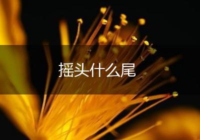 摇头什么尾