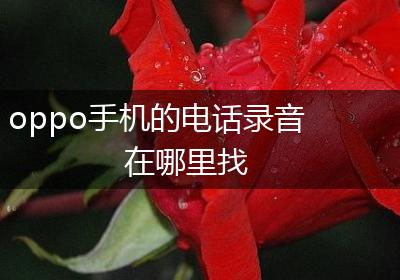 oppo手机的电话录音在哪里找