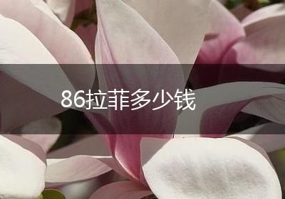 86拉菲多少钱