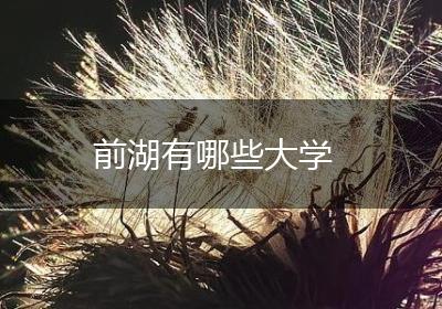 前湖有哪些大学