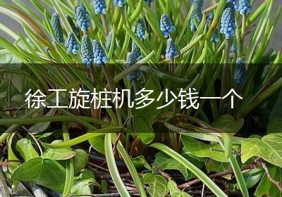 徐工旋桩机多少钱一个