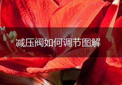 减压阀如何调节图解