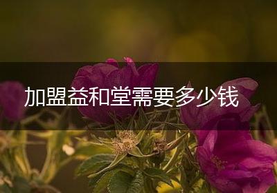 加盟益和堂需要多少钱