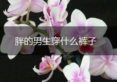 胖的男生穿什么裤子