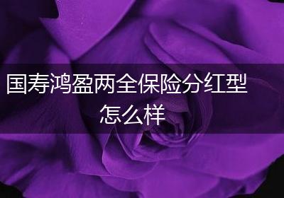 国寿鸿盈两全保险分红型怎么样