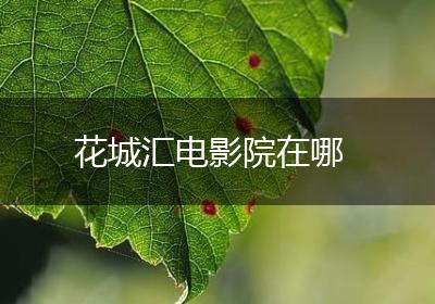 花城汇电影院在哪