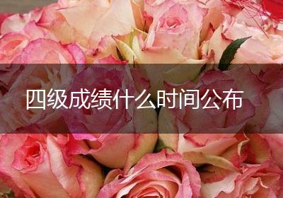 四级成绩什么时间公布