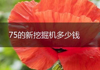75的新挖掘机多少钱