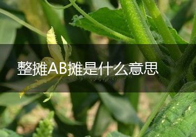 整摊AB摊是什么意思