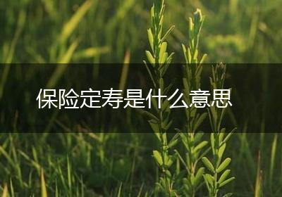 保险定寿是什么意思
