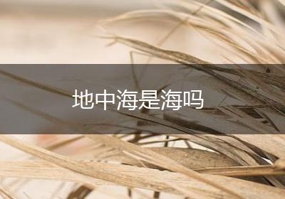 地中海是海吗